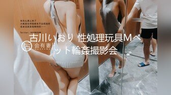 HEYZO 3227 みつ葉と主観SEX～美女コレクションVol.8～ &#8211; 菊川みつ葉