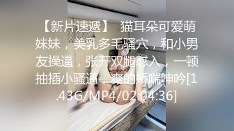 麻豆传媒-调教女仆美娇娘确认湿润后忘情操干-陈美琳