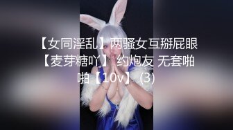 水手服安娜和巧克力腹肌男