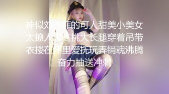 4/13最新 36E巨乳女仆近日刚播甜美酒窝小姐姐掏出大奶子甩动VIP1196