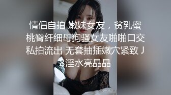 我的私下宠物女仆