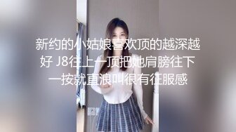 成都母狗2