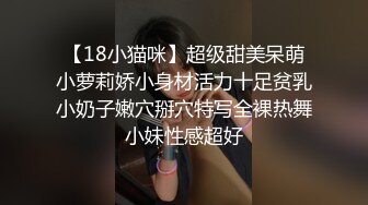 女仆的日常，给主人清理肉棒