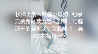 国产AV 星空无限传媒 XK8039 少妇白洁1 童汐