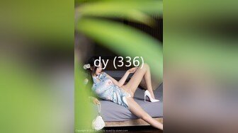 dy (336)