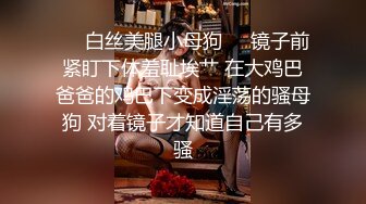 【靓乳醉美❤️露出骚货】极品女神系母狗的淫色露出生活 极品女神被粉丝膜拜啪啪露出 高清私拍493P