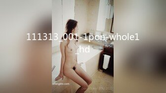 111313_001-1pon-whole1_hd