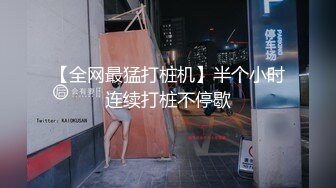 【全网最猛打桩机】半个小时连续打桩不停歇