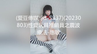 (愛豆傳媒)(id-5337)(20230803)性愛玩具推銷員之震波療法-惠敏