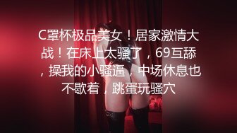 欧美吊垂巨乳Katy Hartlova合集【119V】 (63)