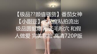 【极品??颜值骚货】番茄女神【小甜豆】大尺度私拍流出 极品圆挺爆乳 无毛粉穴 和假人做爱 完美露脸 高清720P版