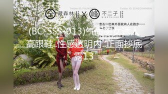 MCY-0236痴女记者硬上嘉宾大富豪