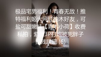 极品宅男福利！青春无敌！推特福利姬大网红柚木好友，可盐可甜嫩妹【青木小荷】收费私拍，紫薇3P打炮被死胖子摧残蹂躏 (6)