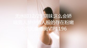 蜜桃传媒 pm-011 空降女优送她去你家-莉娜