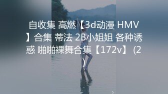 自收集 高燃【3d动漫 HMV】合集 蒂法 2B小姐姐 各种诱惑 啪啪裸舞合集【172v】 (2)