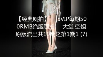 【经典厕拍】✅✅SVIP每期500RMB绝版厕拍❤️大堂 空姐原版流出共10期之第1期1 (7)