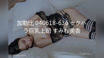 加勒比 040618-636 セクハラ巨乳上司 すみれ美香