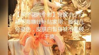 【酒店系列】之正副机长下了飞机都干嘛去了？上集 只要1元