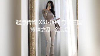 起点传媒 XSJ-005 奇淫三国 黄精之乱-金宝娜