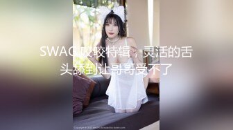 【小香猪】 (20)