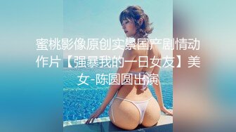 あなた、许して…。 男やもめのブルース6 日下部加奈