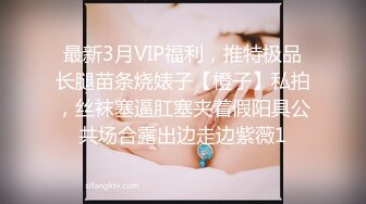 最新3月VIP福利，推特极品长腿苗条烧婊子【橙子】私拍，丝袜塞逼肛塞夹着假阳具公共场合露出边走边紫薇1