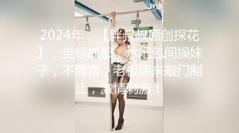 放浪传媒 FX-0014 闷骚女上司强制诱惑羞涩男下属