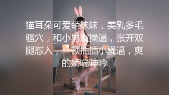 猫耳朵可爱萌妹妹，美乳多毛骚穴，和小男友操逼，张开双腿怼入，一顿抽插小骚逼，爽的娇喘呻吟