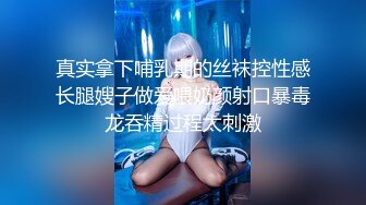 最新网红美少女押尾猫2019首部长篇啪啪作品之蕾姆圣诞1