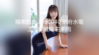 精東影業 JDBC040 到府水電工強奸騷婦 白熙雨