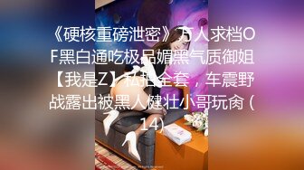 《硬核重磅泄密》万人求档OF黑白通吃极品媚黑气质御姐【我是Z】私拍全套，车震野战露出被黑人健壮小哥玩肏 (14)