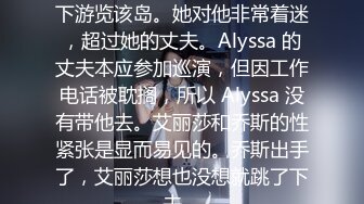 Alyssa 正在当地导游的带领下游览该岛。她对他非常着迷，超过她的丈夫。Alyssa 的丈夫本应参加巡演，但因工作电话被耽搁，所以 Alyssa 没有带他去。艾丽莎和乔斯的性紧张是显而易见的。乔斯出手了，艾丽莎想也没想就跳了下去。