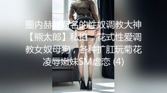 后入骚浪母狗01