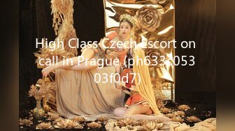 High Class Czech Escort on call in Prague (ph633c05303f0d7)