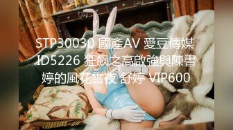 STP30030 國產AV 愛豆傳媒 ID5226 狂飙之高啟強與陳書婷的風花雪夜 舒婷 VIP600