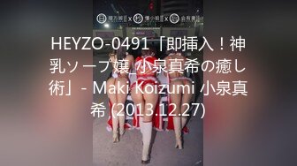 HEYZO-0491「即挿入！神乳ソープ嬢_小泉真希の癒し術」- Maki Koizumi 小泉真希 (2013.12.27)