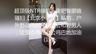 丝袜服饰系列写真~美腿丝袜【19V】 (4)