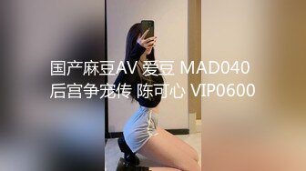 国产麻豆AV 爱豆 MAD040 后宫争宠传 陈可心 VIP0600