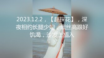 2023.12.2，【赵探花】，深夜相约长腿少妇，黑丝高跟好饥渴，沙发上插入