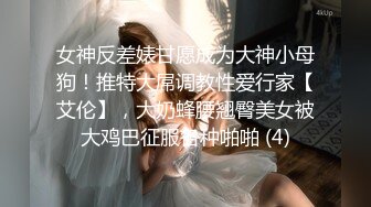 女神反差婊甘愿成为大神小母狗！推特大屌调教性爱行家【艾伦】，大奶蜂腰翘臀美女被大鸡巴征服各种啪啪 (4)