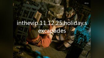 inthevip.11.12.25.holiday.sexcapades