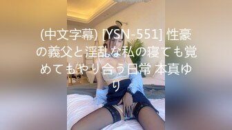 (中文字幕) [YSN-551] 性豪の義父と淫乱な私の寝ても覚めてもやり合う日常 本真ゆり