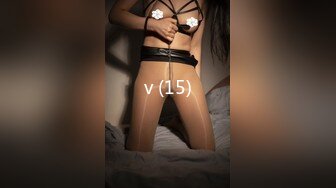 v (15)